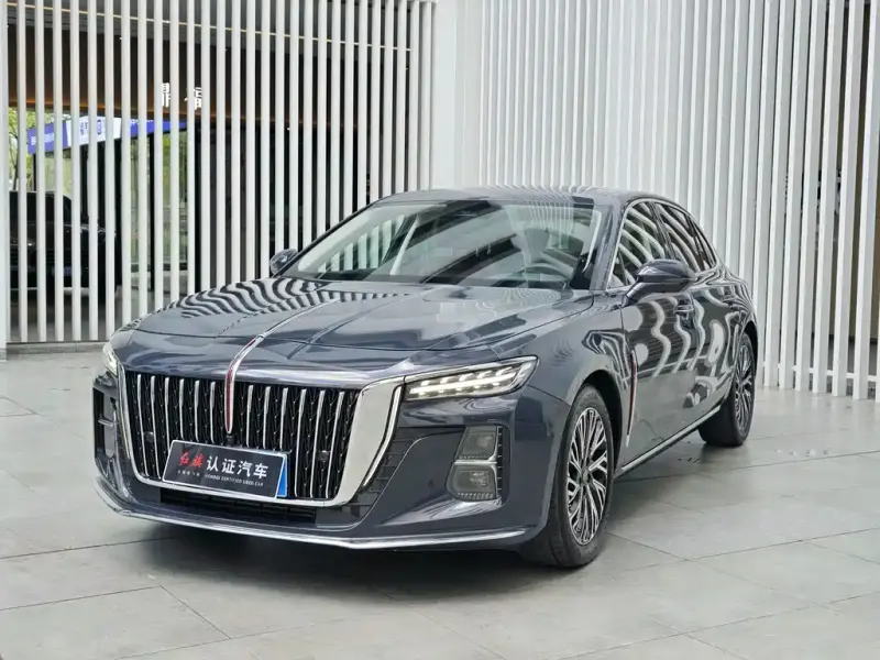 Hongqi H5, 2024