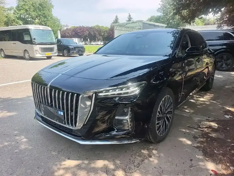 Hongqi H5, 2024
