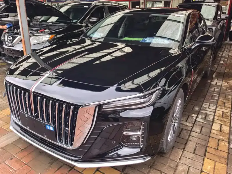 Hongqi H5, 2024