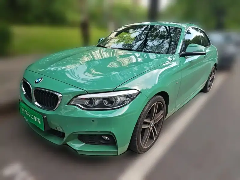 BMW 2 Series (Import), 2018
