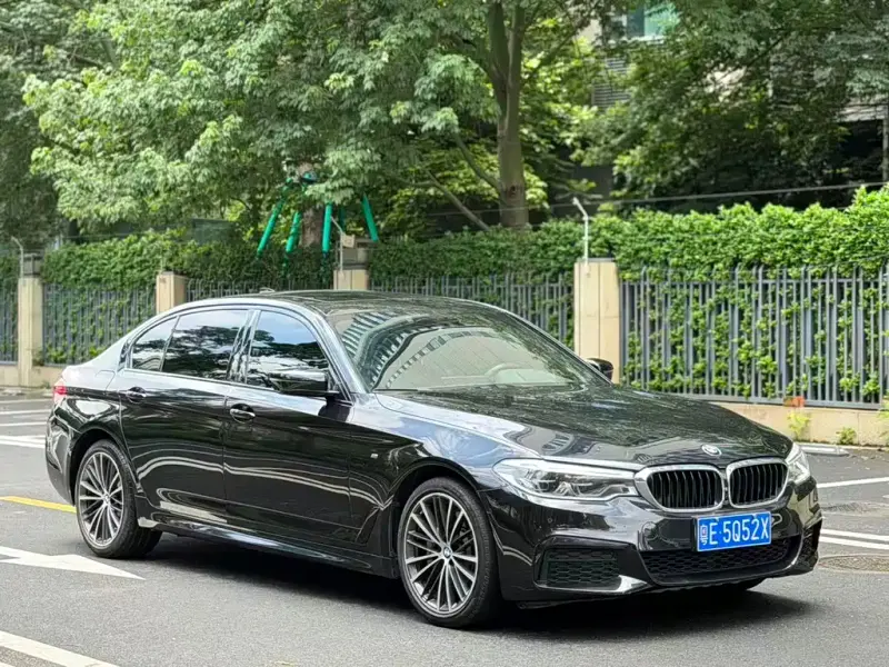 BMW 5 Series, 2019