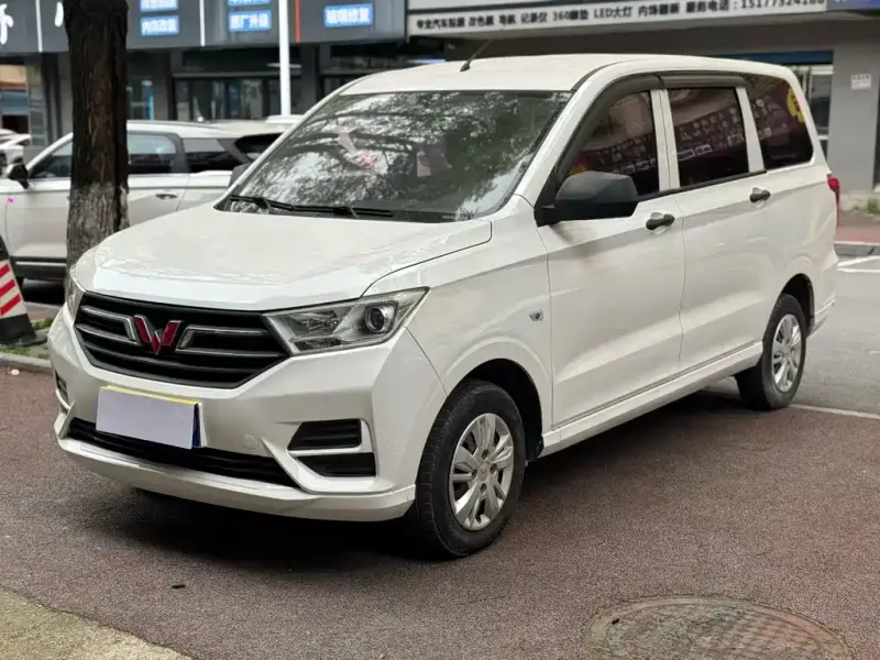 Wuling Hongguang, 2019