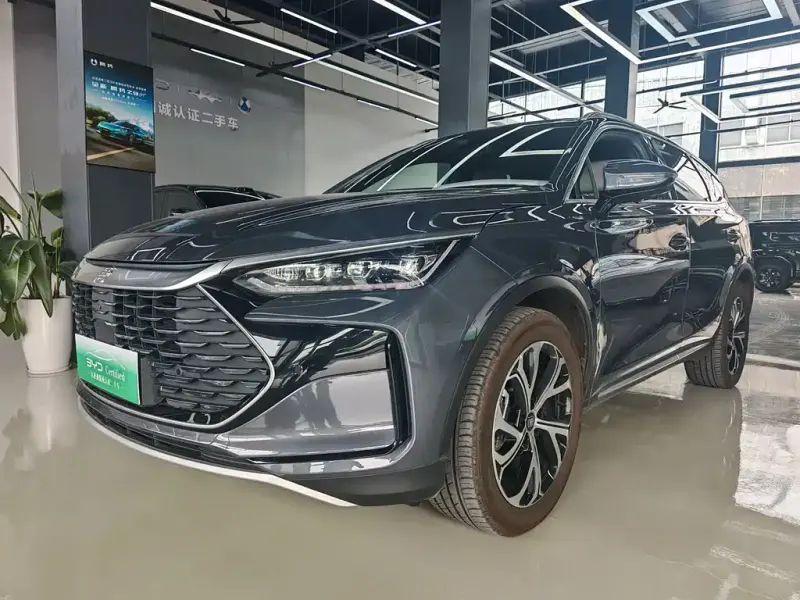 BYD Tang New Energy, 2025