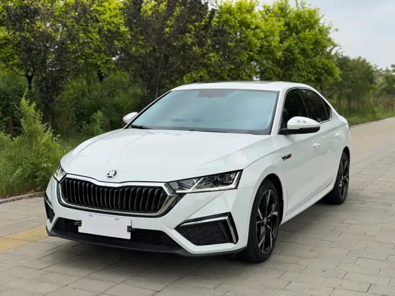 Skoda Octavia, 2023 — фото 1