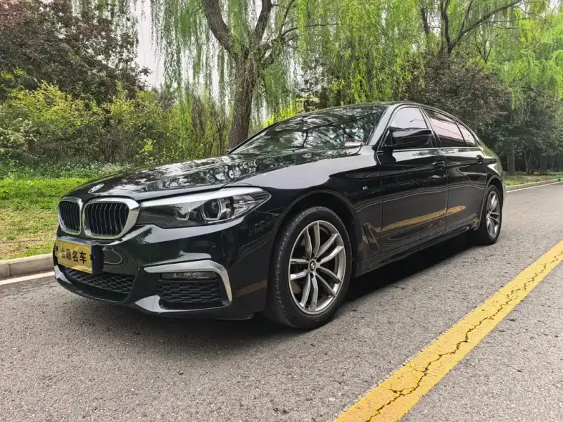 BMW 5 Series, 2019
