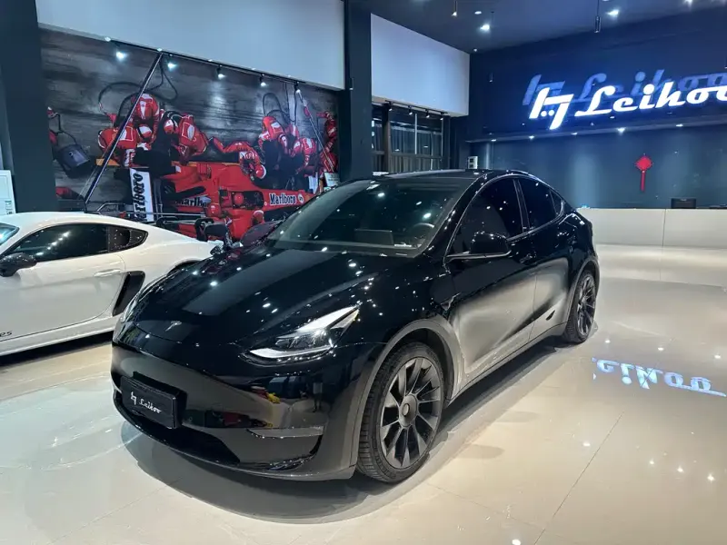 Tesla Model Y, 2022