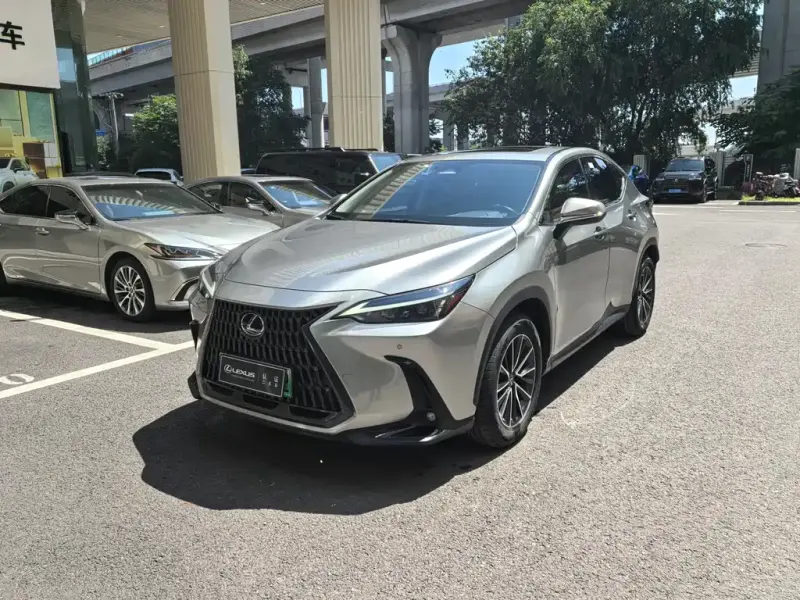 Lexus NX New Energy, 2022