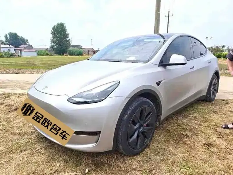 Tesla Model Y, 2024