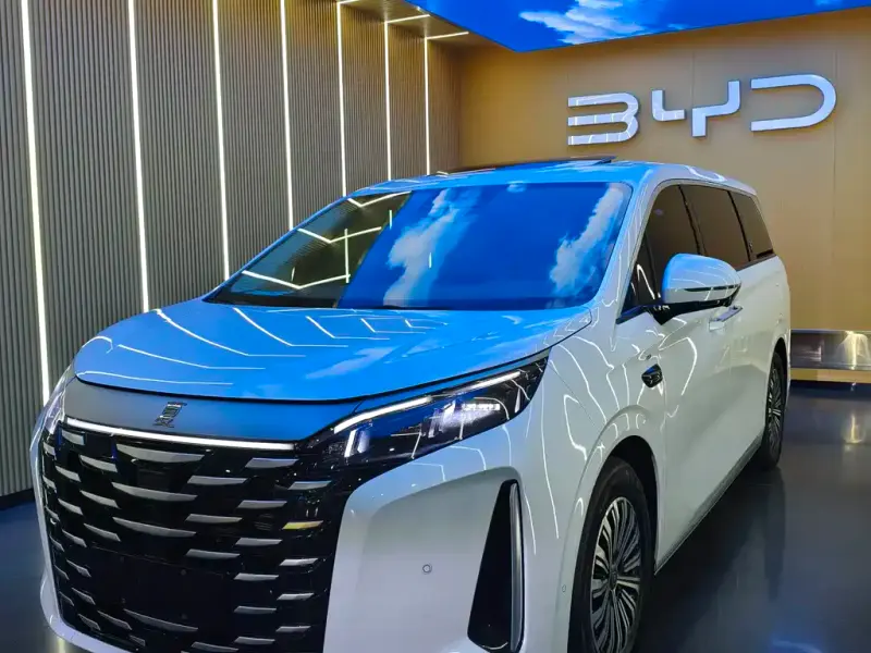BYD Xia, 2025 — фото 1