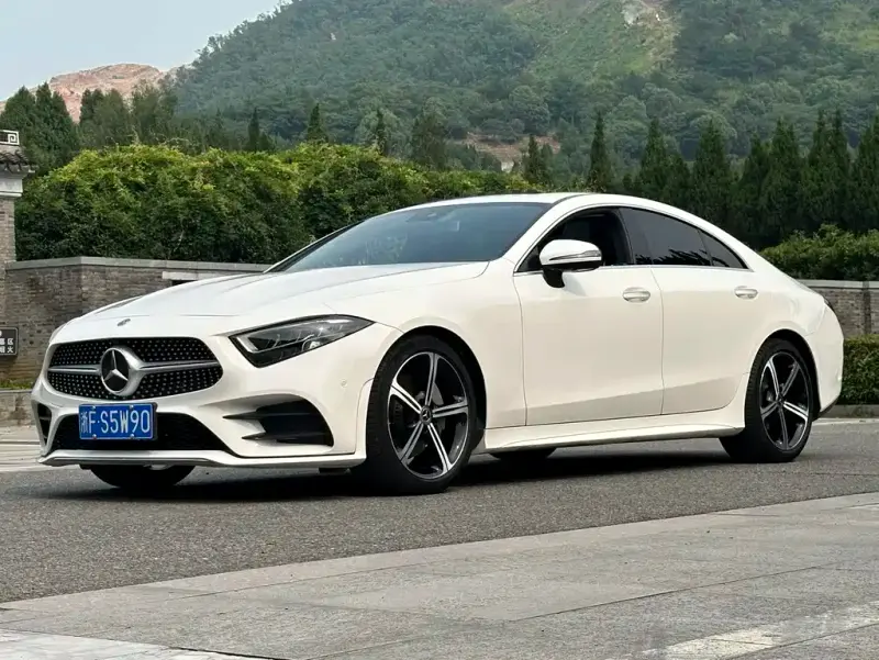 Mercedes-Benz CLS, 2020 — фото 1