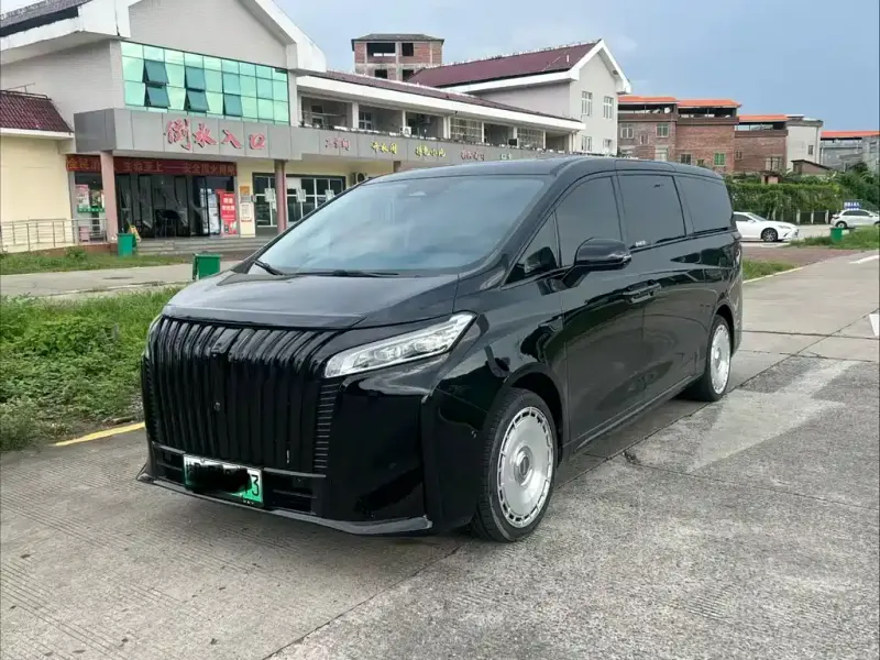Wey Gaoshan, 2025
