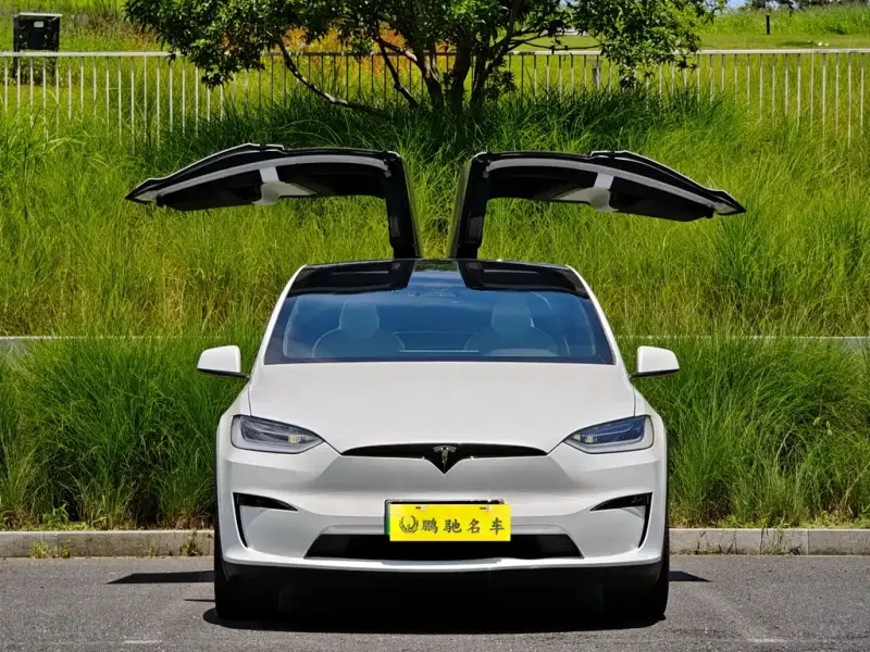Tesla Model X, 2023