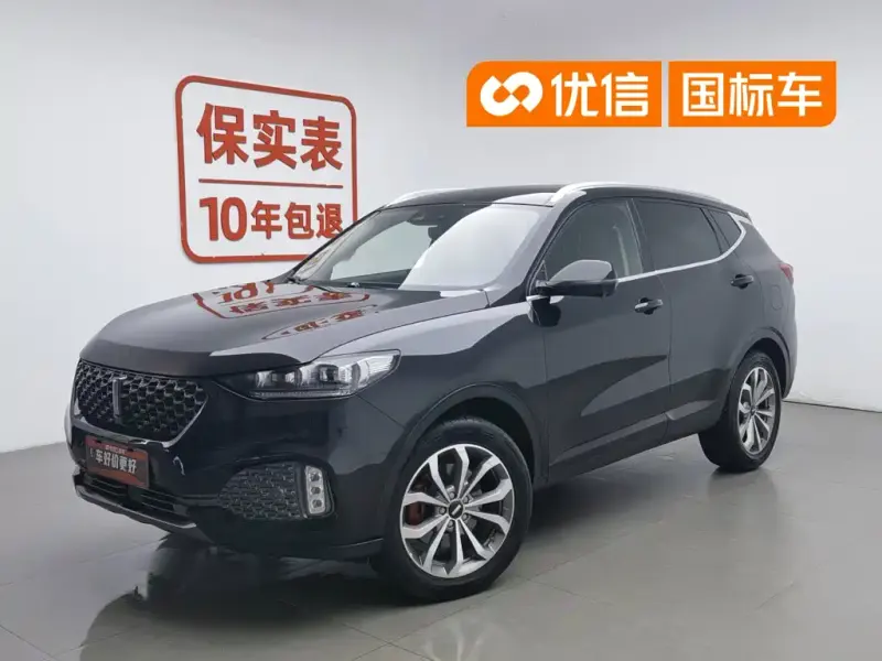 Wey VV6, 2019