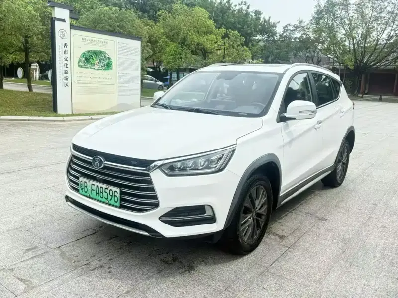 BYD New Energy, 2019