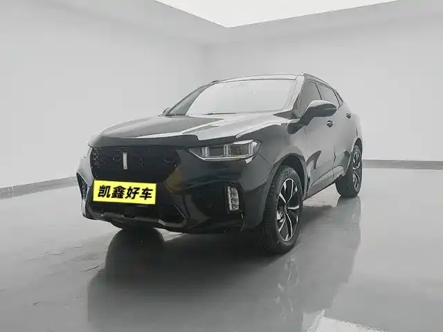 Wey VV5, 2019