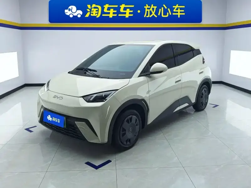 BYD Seagull, 2024