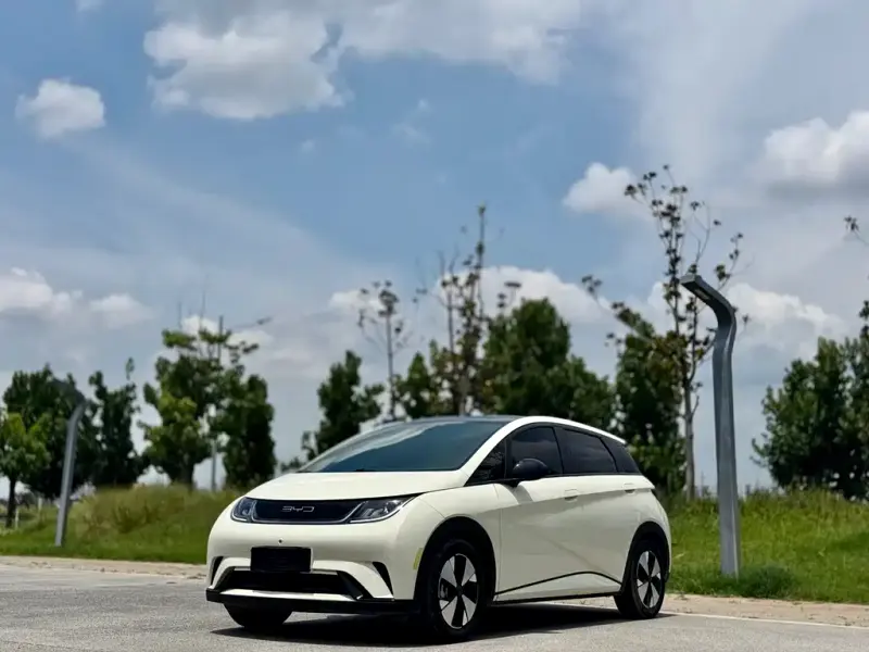 BYD Dolphin, 2023