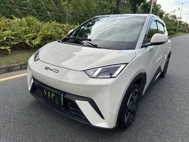 BYD Seagull, 2023 — фото 1