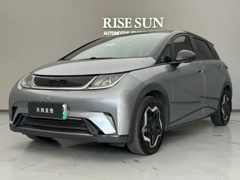 BYD Dolphin, 2022