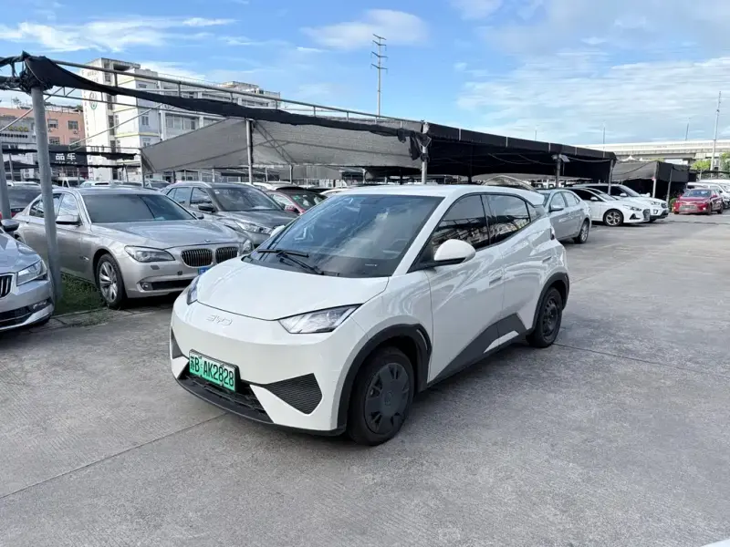 BYD Seagull, 2025