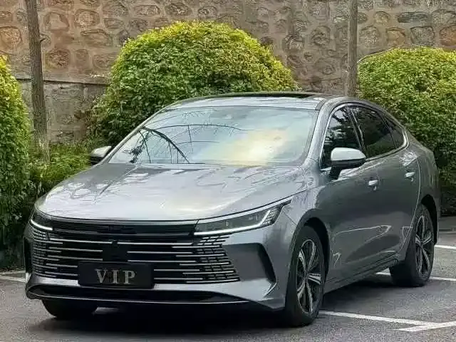 BYD Destroyer 05, 2023 — фото 1