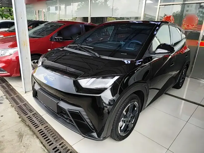 BYD Seagull, 2023