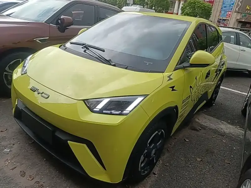 BYD Seagull, 2024