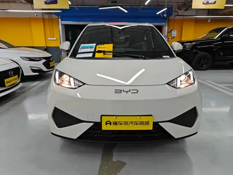 BYD Seagull, 2026