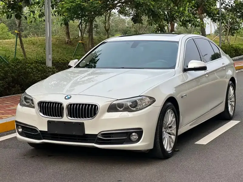 BMW 5 Series, 2014