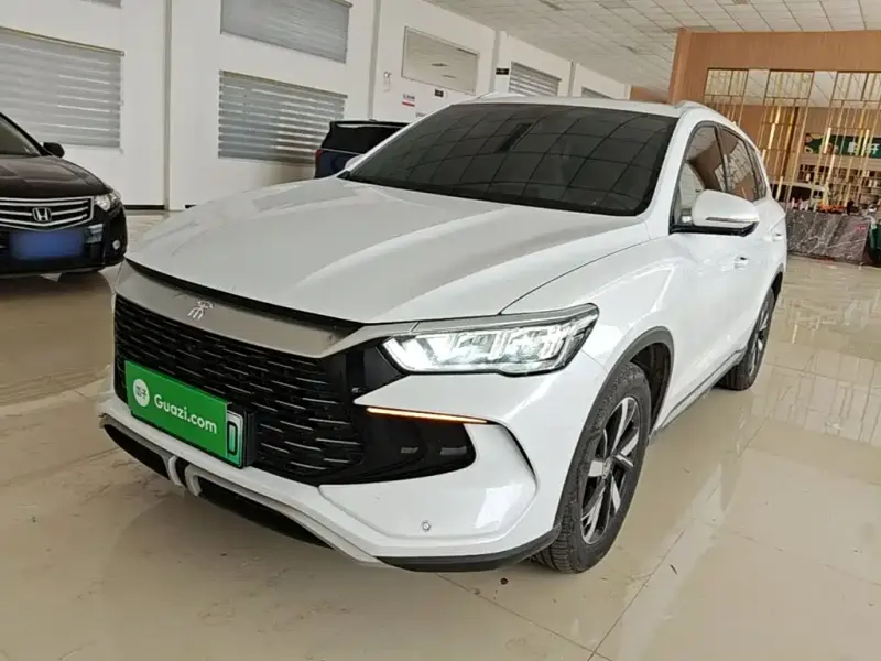 BYD Pro New Energy, 2024