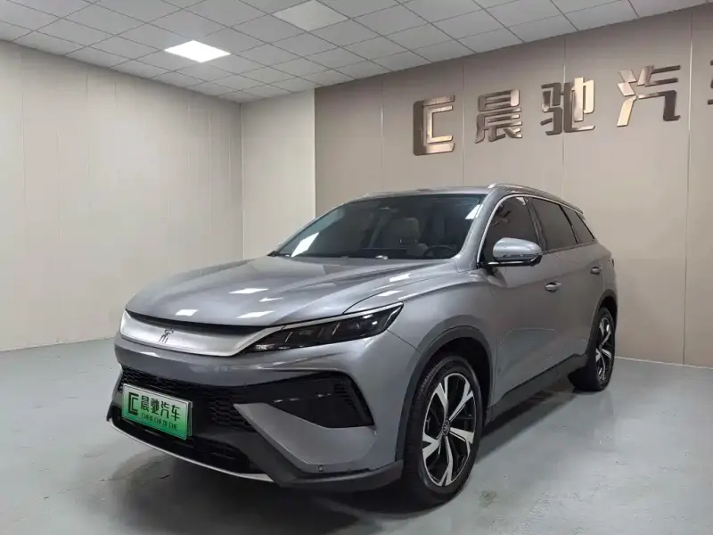 BYD Pro New Energy, 2024