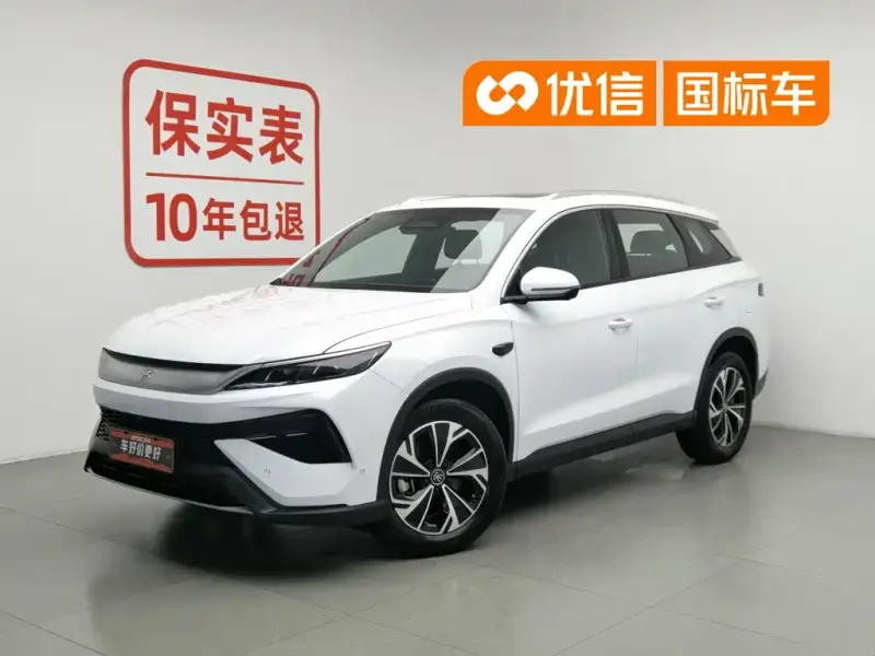 BYD Pro New Energy, 2025
