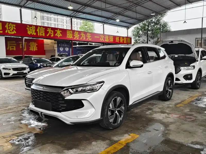 BYD Pro New Energy, 2024