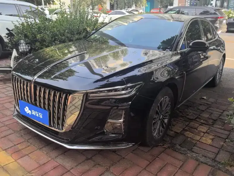 Hongqi H5, 2024