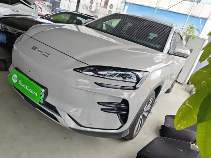 BYD PLUS New Energy, 2024