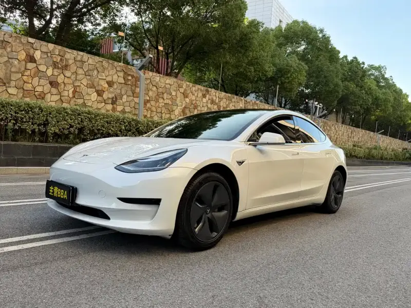 Tesla Model 3, 2020