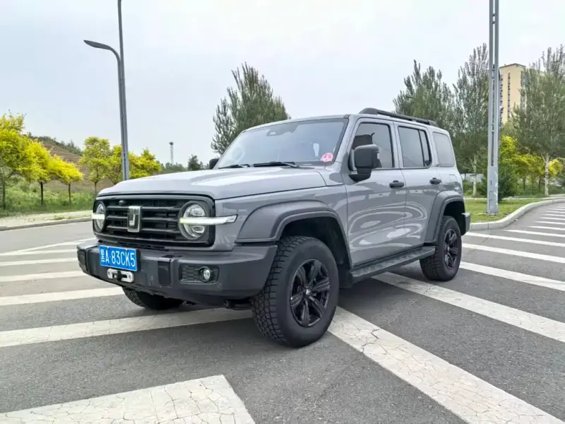Tank 300, 2021