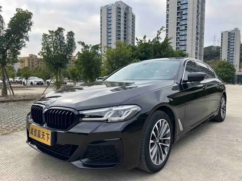 BMW 5 Series, 2019