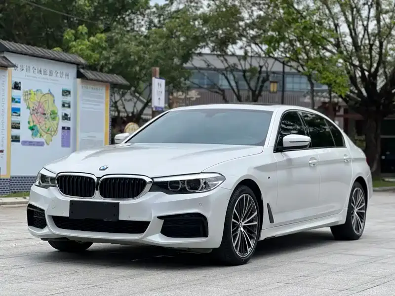 BMW 5 Series, 2019