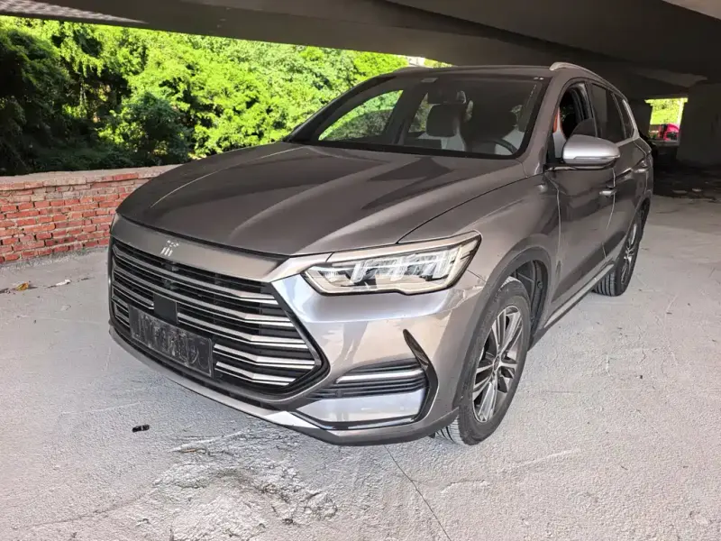 BYD Pro New Energy, 2022