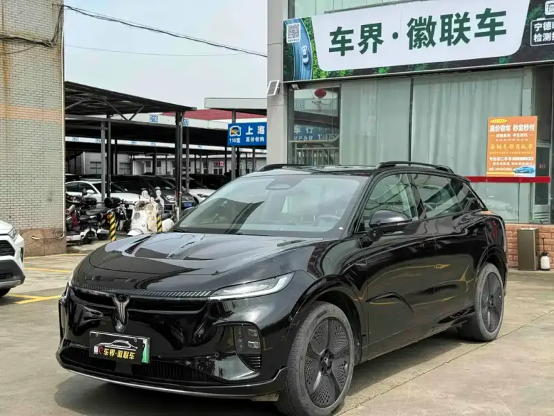 VOYAH Zhiyin, 2025