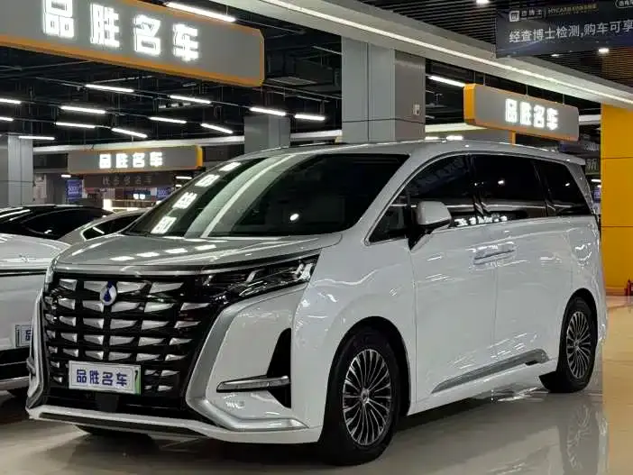 Denza D9, 2024