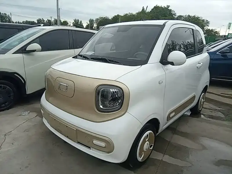 Bestune Pony, 2024