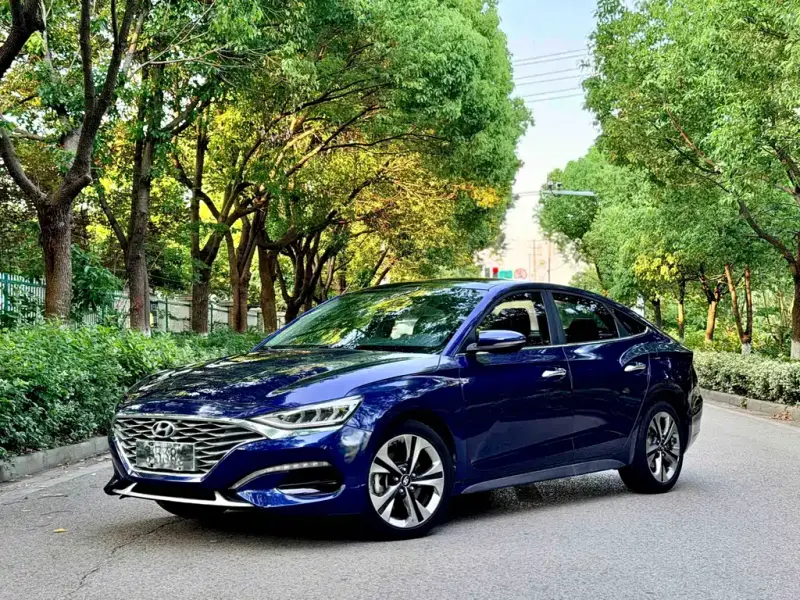 Hyundai Fista, 2019