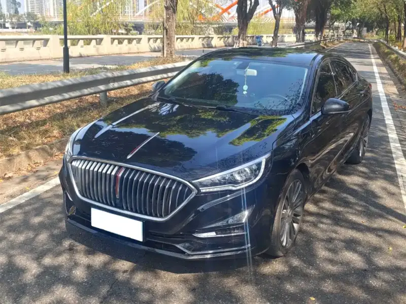 Hongqi H5, 2020