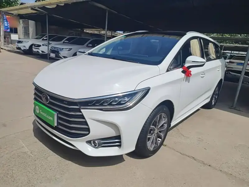 BYD MAX, 2020