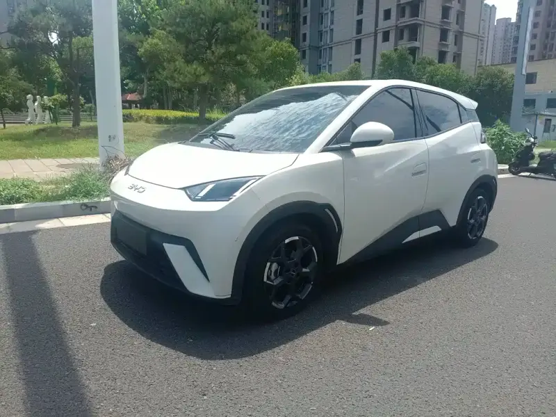 BYD Seagull, 2024