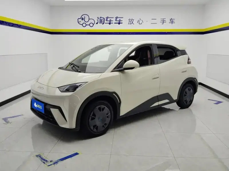 BYD Seagull, 2024