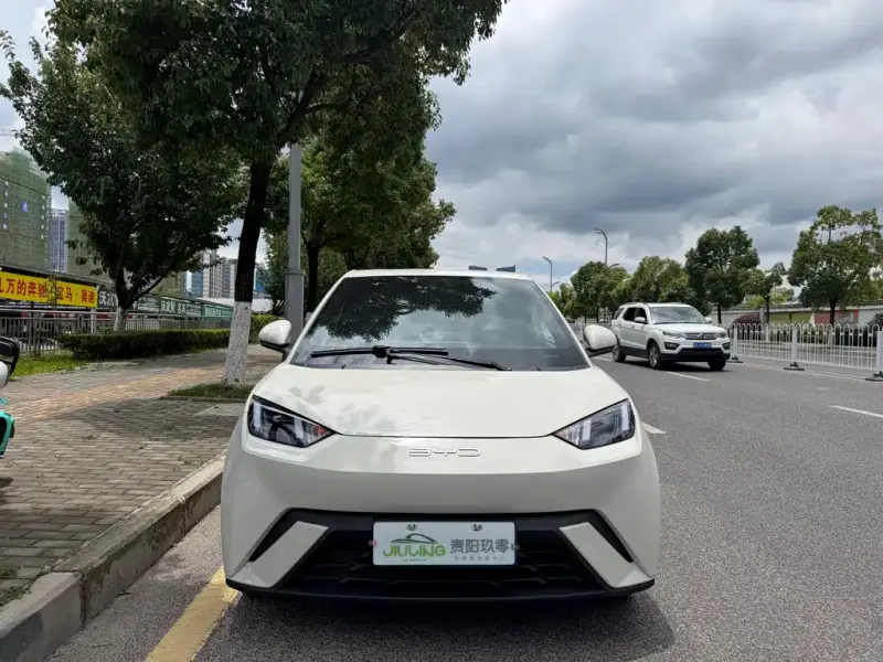 BYD Seagull, 2024