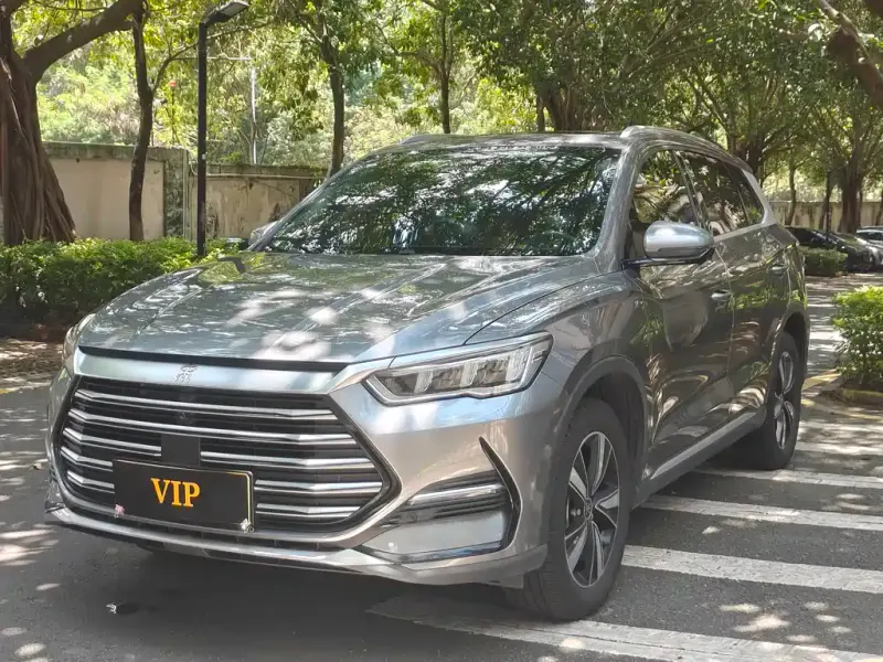 BYD Pro New Energy, 2022